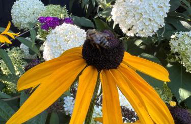 Apartament Pod Orzechem - Foto 76