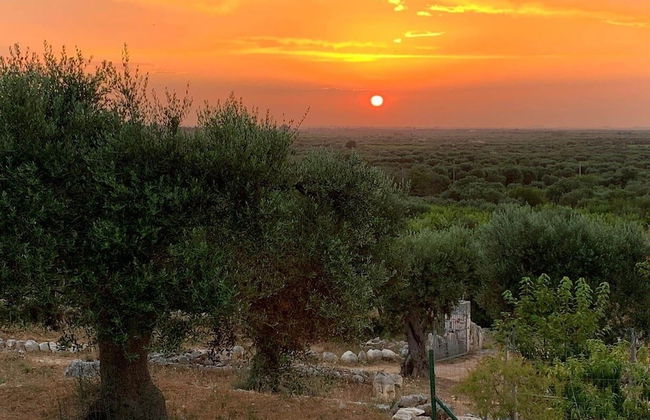 Agriturismo Monte Adamo - Foto 3