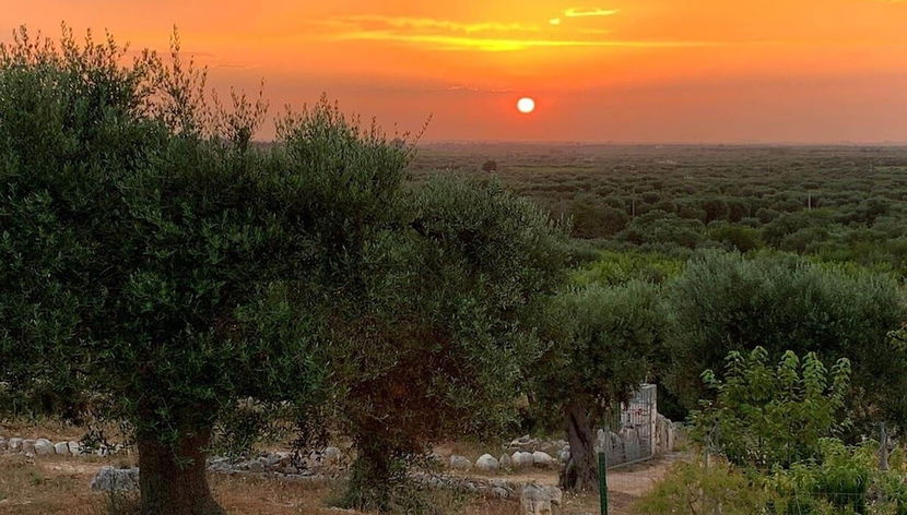 Vue depuis l’hébergement