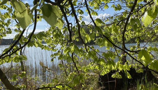 9 bedroom House in Wolin with garden and terrace - Photo 5, Place