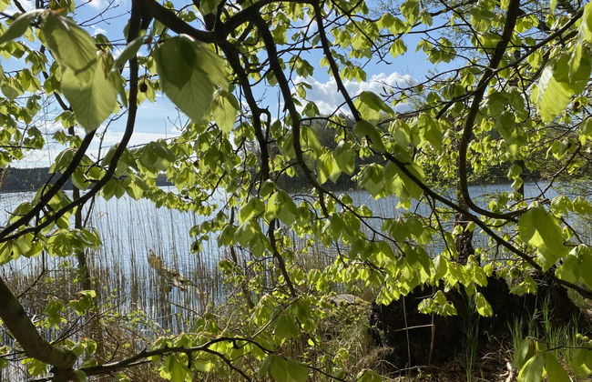 Willa Słoneczko - Foto 5