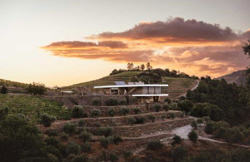 Quinta Vale das Papas - Foto 6