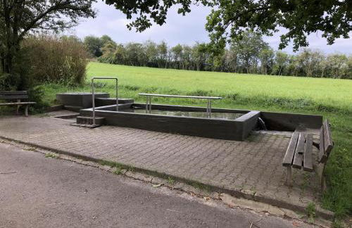 Dachgeflüster - Foto 29