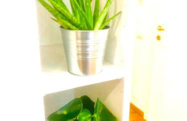 PLANT HOUSE Roma Eur - Foto 12