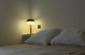 O Argalleiro - Foto 7