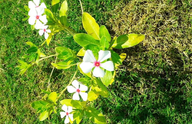 Lighthouse Nadia Aparts - Foto 68