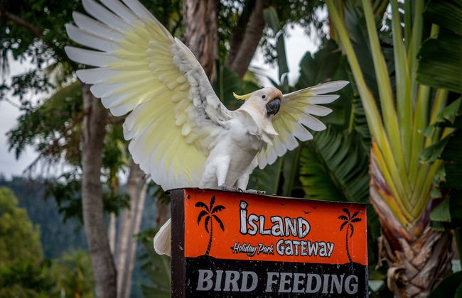 Tasman Holiday Parks - Airlie Beach - Foto 54