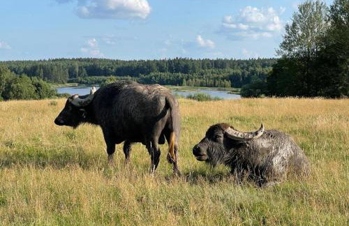 Osada Jaćwingów - Foto 27
