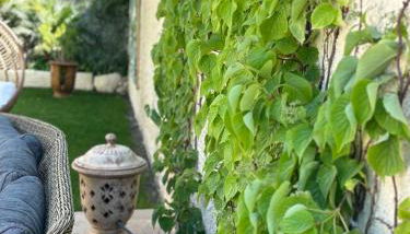 Logement cosy avec piscine ,parking et jardin - Foto 4, Garden