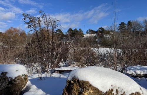 Ferienhaus Glücklich am Bach - Foto 35