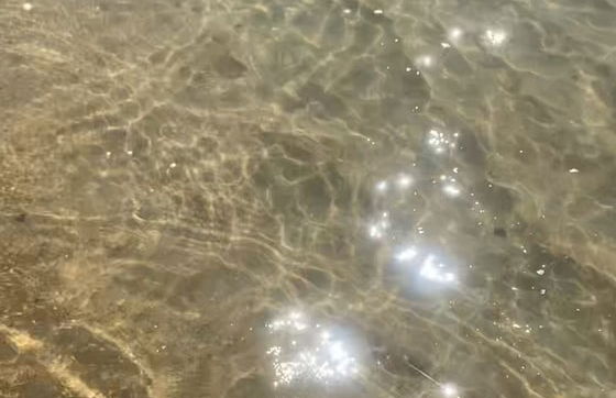 Seasonal Beach House View to the Sea in Brazil - Foto 35