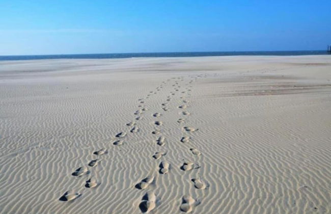 Apartment in Nieuwpoort With sea View - Foto 38