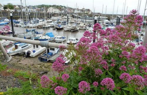 The Pack Horse Exmoor National Park Allerford Riverside Cottage & Apartments - Photo 23