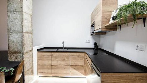 LUXURY APARTMENT SCIENCES CITY Valencia B - Foto 4, stove, minibar