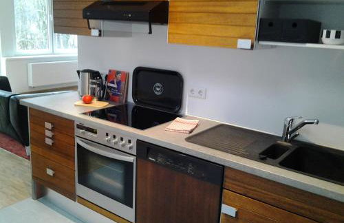 K9 Wohnungen - Foto 9