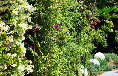 Apartaments B-Llobet Sun & Confort - Foto 47