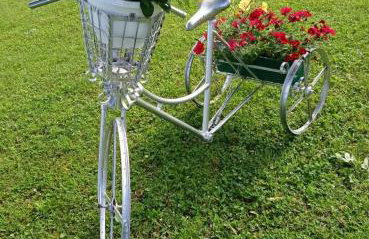 Yellow Rose - Foto 9