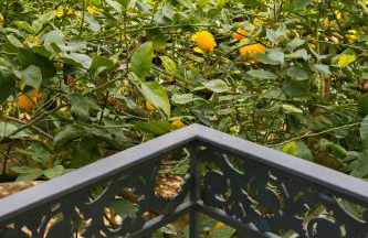 Dépendance La Casetta - Foto 40