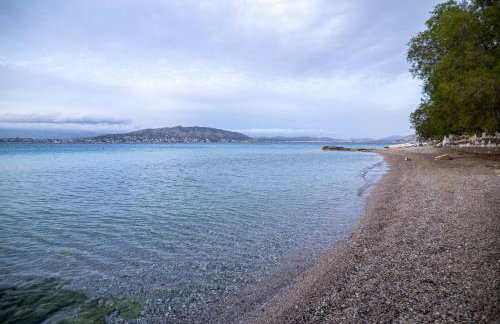 George Luxury Beach House - Foto 45