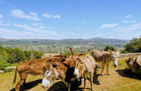 Pet Friendly Home In Privas With Sauna - Foto 28