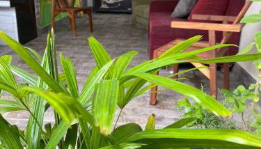 Paraíso do santinho - Foto 4