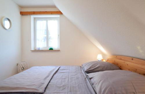 Muschelsucher 2 - Foto 18