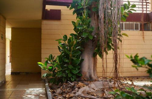 Apartamento El Gato - Foto 25