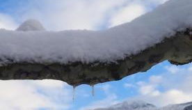 Apartamento - Foto 4