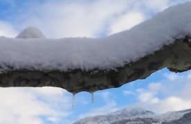 Apartamento - Foto 4