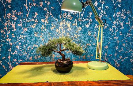 Lovely Flat Near Train Station and Central London - Foto 8