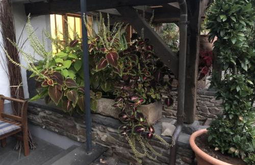 Old Winemaker's House Müntnich - Foto 12