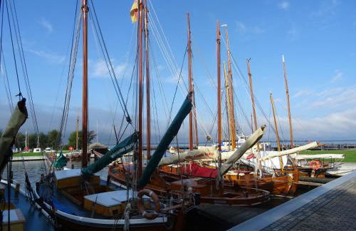 Boddenpieper - Foto 13