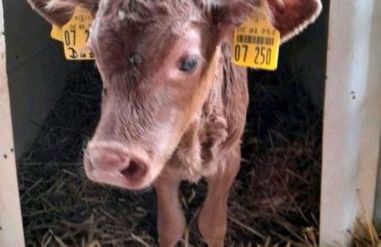 FeWo Mareike - Photo 9