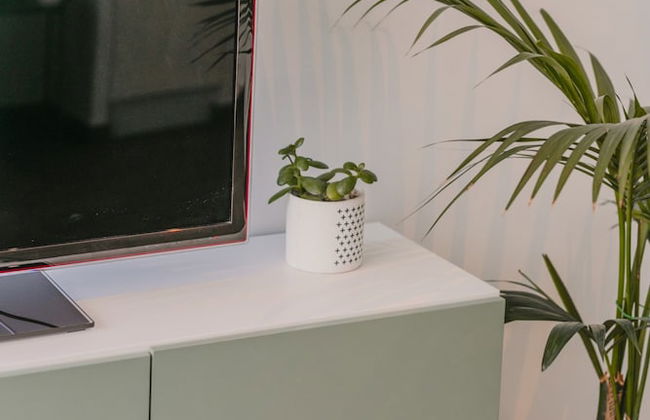 Teatro Alameda City - Foto 22