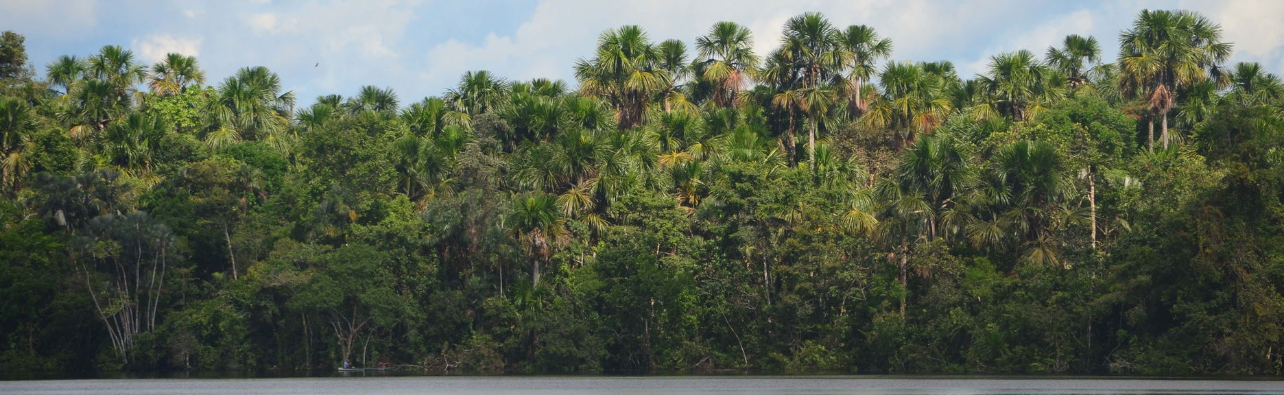 Amazon River Trip - Foto 1