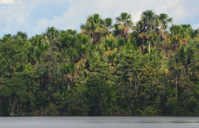 Amazon River Trip - Photo 1