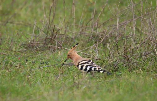Casa Vó Briata - Foto 76