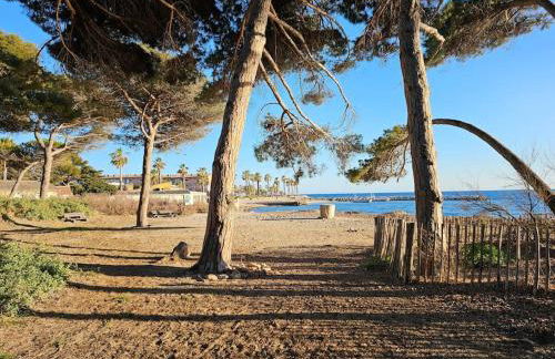 Petit paradis classé 3 étoiles à 200m de la plage! Terrasse-Wifi-Parking-clim - Foto 37