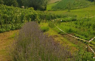 Apartman 2 - Foto 35