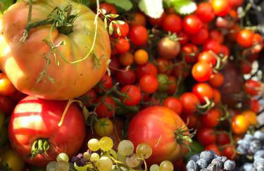 Casinha Revira Volta - Foto 24