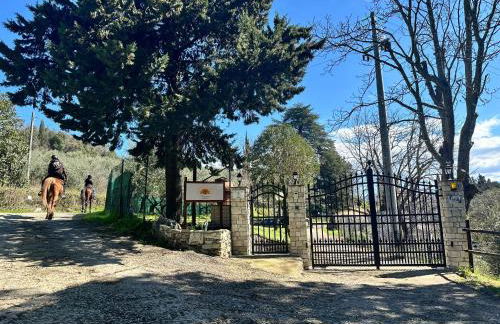 Agriturismo Tassinaia - Foto 30