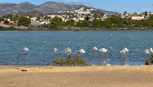 Calpe Silver Tower 5B - Photo 2