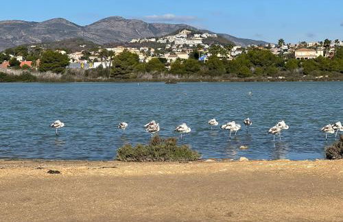Calpe Silver Tower 5B - Photo 2