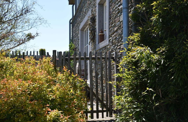 Forest Cottage, Jehonville - Foto 25