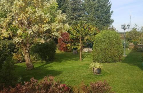 Blick zum See - Foto 8