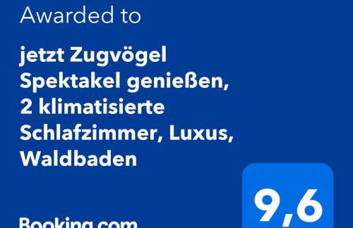 Klimaanlage, 5 Sterne Bahnhoftraum, Appartement "Waldliebe" 133qm, große Terrasse 70qm, QR Code scannen für virtuellen Rundgang, Premium Ausstattung - Foto 12