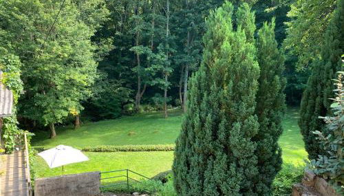 CLASSIC DRIVER HOME 2 - Foto 5