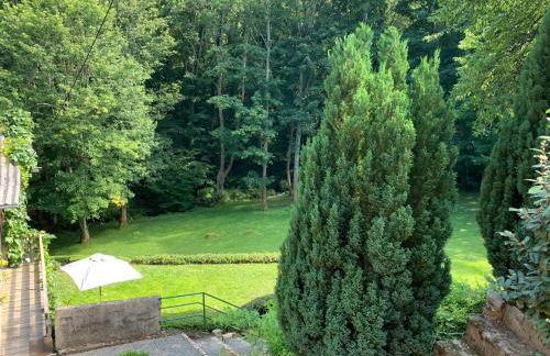 CLASSIC DRIVER HOME 2 - Foto 5