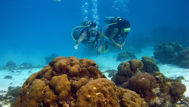 Tauchausflug - Foto 5