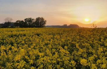 Haus Hinz Fe-Wo an der Ostsee - Foto 18